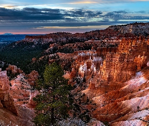 Drzewo, Niebo, Skały, Kolorowe, Park Narodowy Bryce Canyon, Sosna, Stany Zjednoczone, Kanion