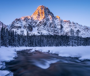 Góry, Drzewa, Zima, Mount Chephren, Park Narodowy Banff, Góra, Kanada, Rzeka