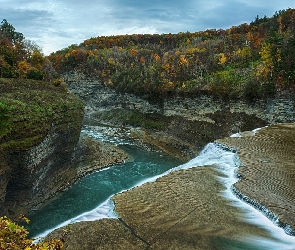 Stany Zjednoczone, Stan Nowy Jork, Drzewa, Skały, Rzeka Genesee, Park stanowy Letchwortha