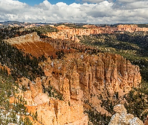 Stany Zjednoczone, Utah, Drzewa, Skały, Kanion, Park Narodowy Bryce Canyon