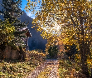 Ścieżka, Góry, Drzewa, Dom, Jesień