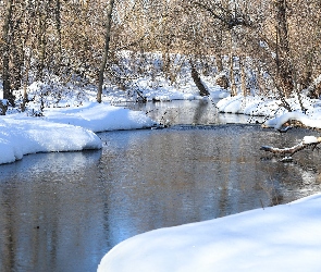 Śnieg, Rzeka, Gałęzie, Drzewa, Zima