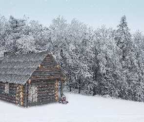 Śnieg, Las, Domek, Zima, Bałwan, Drzewa