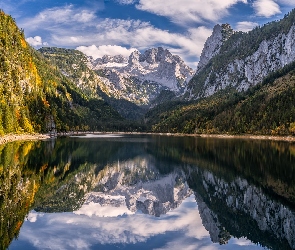 Lasy, Jezioro Gosausee, Salzkammergut, Odbicie, Alpy, Austria, Góry