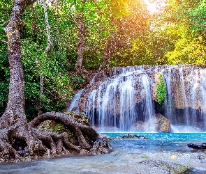 Prowincja Kanchanaburi, Park Narodowy Erawan, Erawan Waterfall, Tajlandia, Korzenie, Wodospad, Drzewo