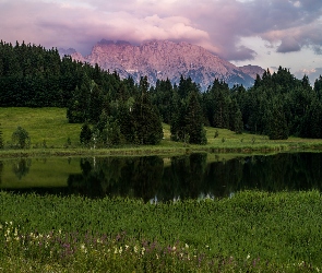 Lato, Odbicie, Jezioro, Chmury, Trawa, Drzewa, Chmury, Kwiaty, Las, Góry