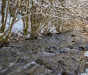 Rzeka, Rwąca, Zima, Drzewa