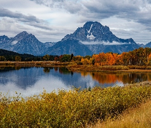 Stany Zjednoczone, Jesień, Drzewa, Stan Wyoming, Rzeka, Góry Skaliste, Snake River, Krzewy, Park Narodowy Grand Teton, Las