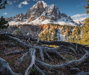 Włochy, Passo delle Erbe, Góra Peitlerkofel, Góry, Drzewa, Przełęcz