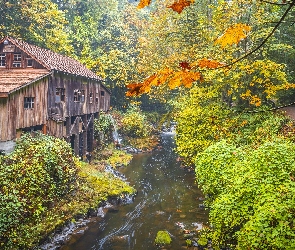 Jesień, Stan Waszyngton, Młyn, Stany Zjednoczone, Cedar Creek Grist Mill, Rzeka, Las, Drzewa, Wodospad