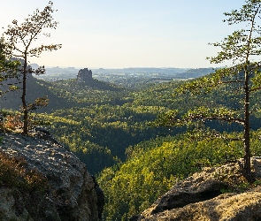 Drzewa, Skały, Park Narodowy Saskiej Szwajcarii, Niemcy, Góry Połabskie, Lasy