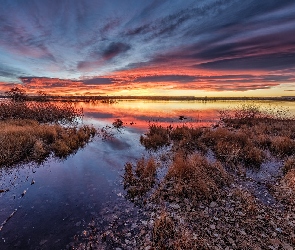 Wschód słońca, Trawa, Chmury, Lake Chatfield, Kolorado, Jezioro, Stany Zjednoczone, Drzewa