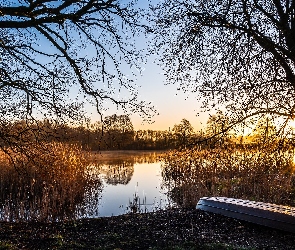 Łódka, Słońce, Szuwary, Drzewa, Staw