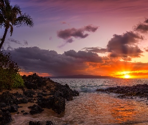 Zachód słońca, Palmy, Wyspa Maui, Chmury, Skały, Hawaje, Morze