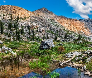 Sierra Nevada Mountains, Kamienie, Góry, Drzewa, Kalifornia, Staw, Stany Zjednoczone, South Lake Tahoe