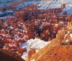 Utah, Park Narodowy Bryce Canyon, Śnieg, Stany Zjednoczone, Kanion, Skały, Rośliny
