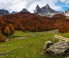 Drzewa, La Vallee Aspe, Góry, Jesień, Dolina, Francja, Pireneje