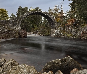 River Dulnain, Skały, Rzeka, Coffin Bridge, Park Narodowy Cairngorms, Most, Szkocja, Drzewa