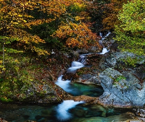 Francja, Dolina, Skały, Valle de Ossau, Jesień, Wąwóz, Pireneje, Las, Rzeka