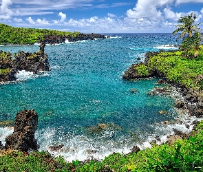 Skały, Morze, Hawaje, Palmy, Park stanowy Waianapanapa, Stany Zjednoczone, Wyspa Maui