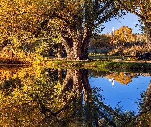 Kolorado, Staw, Stany Zjednoczone, Rock Ledge Ranch, Drzewa, Farma, Odbicie, Jesień