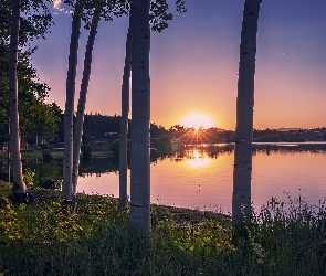 Jezioro, Zachód słońca, Kolorado, Stany Zjednoczone, Red Feather Lakes, Drzewa