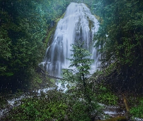Oregon, Fairy Falls, Drzewa, Stany Zjednoczone, Wodospad, Las, Deszcz
