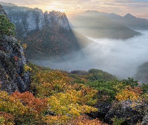 Park Narodowy Juwangsan, Drzewa, Korea Południowa, Jesień, Mgła, Góry, Promienie słońca, Roślinność