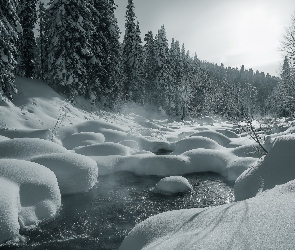 Śnieg, Rzeka, Las, Zima, Drzewa, Świerki