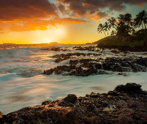 Stany Zjednoczone, Brzeg, Kamienie, Zachód słońca, Palmy, Fale, Hawaje, Maui, Morze