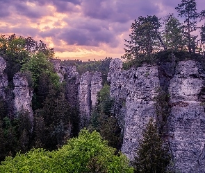 Formacje skalne, Drzewa, Wschód słońca, Skały, Góry Stołowe, Hruboskalsko, Czechy, Czeski Raj