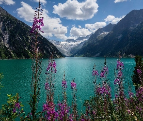 Jezioro, Chmury, Kwiaty, Drzewa, Góry