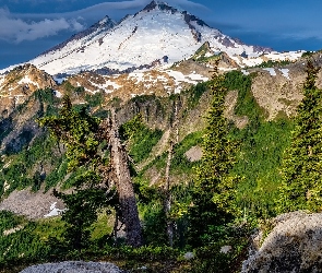 Stan Waszyngton, Góry Kaskadowe, Góra, Stany Zjednoczone, Mount Baker, Drzewa, Szczyt