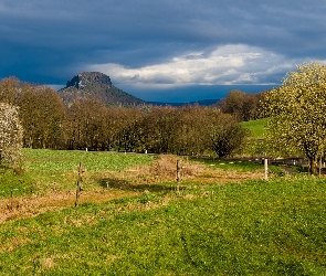 Saksonia, Ogrodzenie, Lilienstein, Niemcy, Łąka, Góry, Drzewa