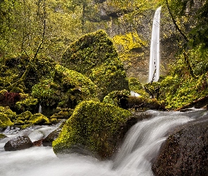 Stany Zjednoczone, Głazy, Kamienie, Oregon, Rzeka, Elowah Falls, McCord Creek, Rezerwat Columbia River Gorge, Wodospad, Omszone