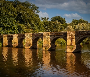 Rzeka, Anglia, Staffordshire, Drzewa, Most