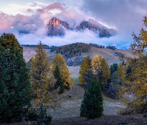 Dolomity, Krowa, Góry, Jesień, Chmury, Drzewa, Włochy, Mgła