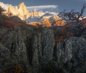 Jesień, Skały, Patagonia, Drzewa, Fitz Roy, Argentyna, Góra