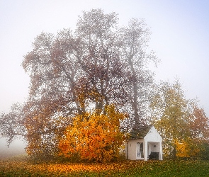 Kapliczka, Pole, Mgła, Drzewa, Jesień