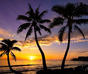 Zachód słońca, Palmy, Hawaje, Stany Zjednoczone, Wyspa Oahu, Morze