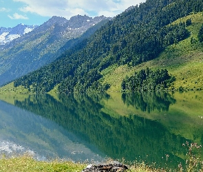 Jezioro, Odbicie, Trawa, Drzewa, Góry