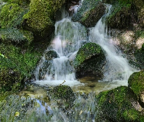 Omszałe, Kamienie, Strumień