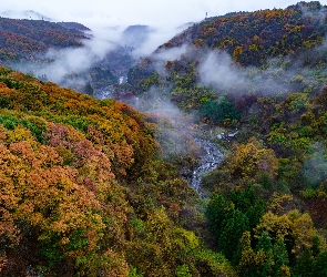 Jesień, Nikko, Mgła, Japonia, Rzeka, Drzewa, Góry, Las, Kolorowe