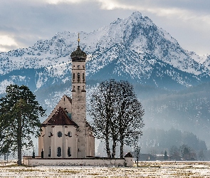 Alpy, Góry, Bawaria, Drzewa, Kościół St Coloman, Niemcy, Schwangau