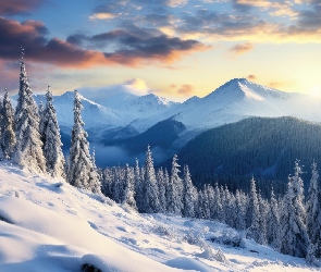 Góry, Chmury, Zima, Śnieg, Poranek, Drzewa, Zbocze, Niebo