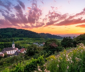 Niemcy, Winnice, Wzgórza, Drzewa, Pola, Domy, Kaiserstuhl, Zachód słońca, Kościół