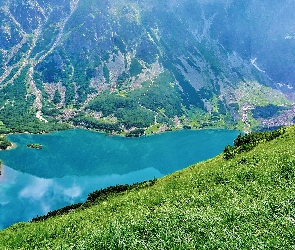 Trawa, Wzgórze, Tatry, Polska, Czarny Staw Gąsienicowy, Góry, Jezioro