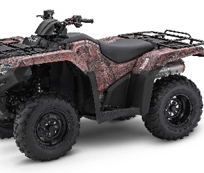 Honda FourTrax Rancher, 2021, Quad