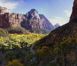 Skały, Krzewy, Góry, Virgin River, Utah, Rzeka, Stany Zjednoczone, Park Narodowy Zion