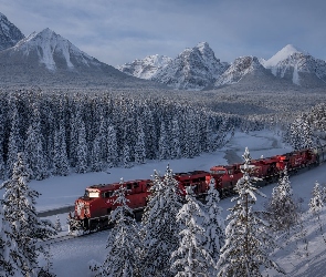 Lasy, Śnieg, Park Narodowy Banff, Pociąg, Zima, Kanada, Góry Skaliste, Alberta, Drzewa, Rzeka, Bow River